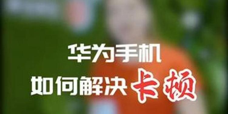 卡顿原因分析与解决方法（探究影响设备卡顿的主要因素及解决方案）