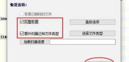 文件格式化后的恢复步骤（从损失到重生）
