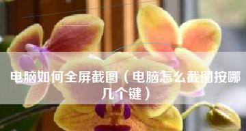 笔记本电脑截屏的最简单方法（快速掌握笔记本电脑截屏技巧）