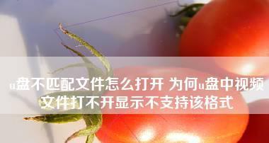 解决移动U盘无法打开的问题（探究U盘异常情况及应对方法）