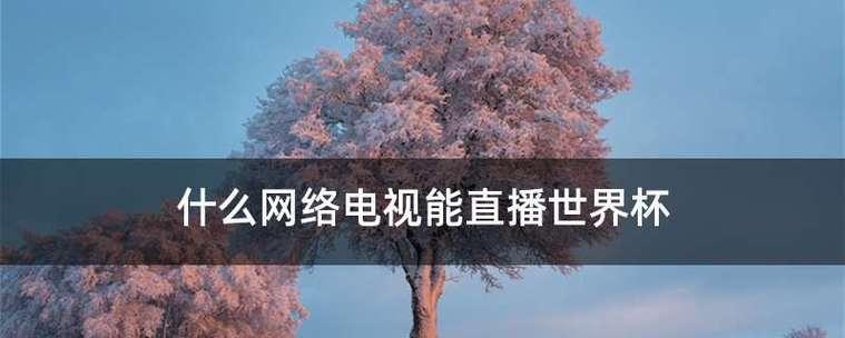 网络电视切换正常电视的设置方法（快速切换）