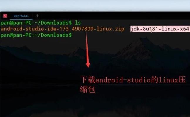 Linux系统安装教程图解大全（从零开始轻松入手）