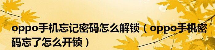 手机开锁密码忘了（忘记手机开锁密码怎么办）