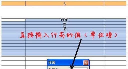 如何调整表格的行高和列宽（Excel高级技巧教程）