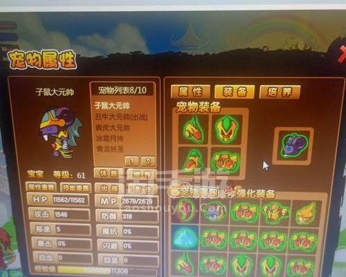 造梦3如何获取544级极品宠物装备？刷装备的技巧是什么？
