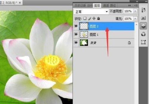 Photoshop抠图步骤是什么？如何一步步完成抠图？
