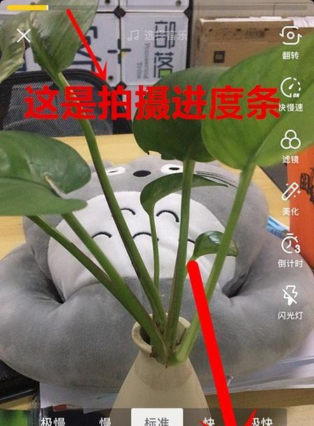 手机拍照拍视频设置方法是什么？