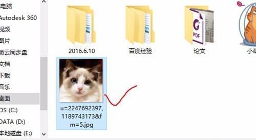 酒猫笔记本更换头像的方法是什么？