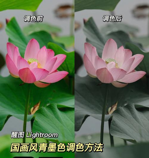 桂林拍照苹果手机调色技巧？