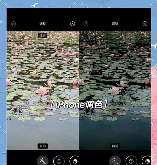苹果手机商城拍照调色技巧是什么？