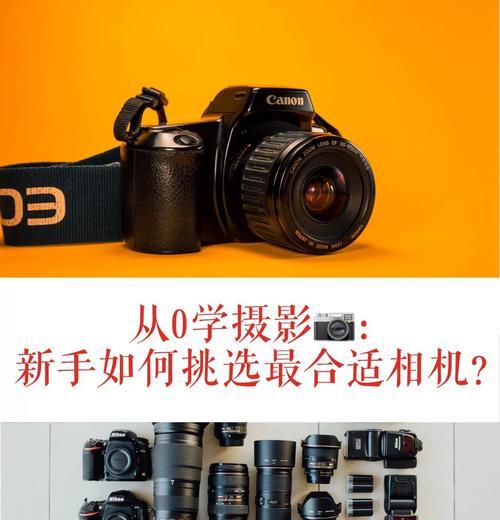 单反相机对焦区域调整方法是什么？对焦效果如何？