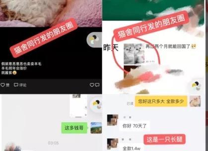 移动硬盘启动英雄联盟可行吗？需要满足什么条件？