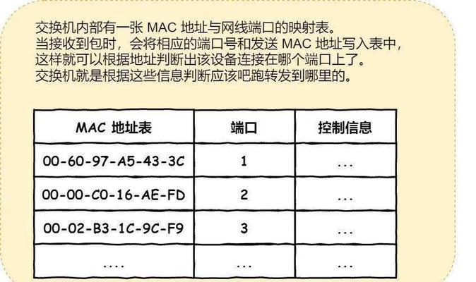服务器的实际地址如何查询？查询方法有哪些？