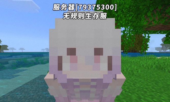 我的世界服务器出现故障怎么办？故障解决的方法有哪些？