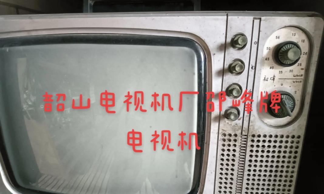 魔域中蛇霜魂者战斗技巧是什么？如何有效击败它？