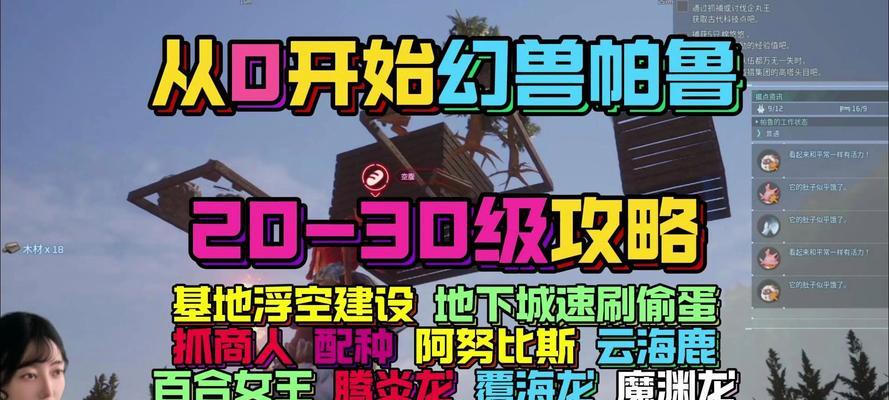 地下城中哪些帕鲁装备最实用？如何选择适合自己角色的帕鲁？
