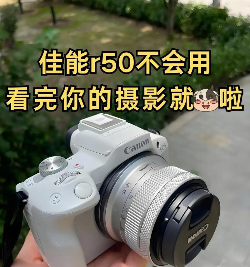 佳能相机照片查看方法是什么？如何导入电脑？