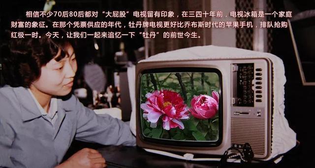 缩地铃在完美世界经典版中为何失效？