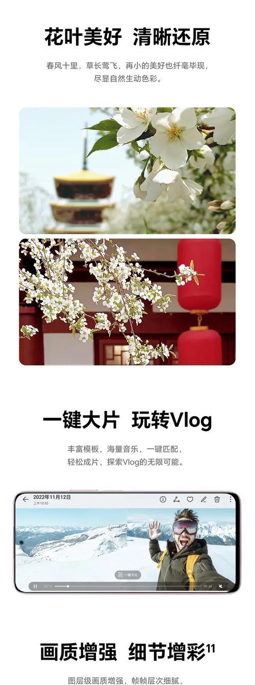 荣耀x50手机型号如何查看？查看手机型号的正确步骤是什么？