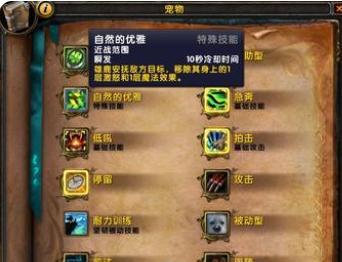 魔兽探索服战士怎么打怪？有哪些技巧可以提高效率？