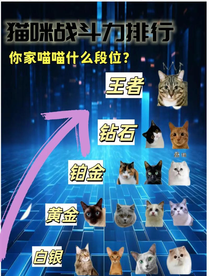 在王者荣耀中哪些英雄能克制猫？