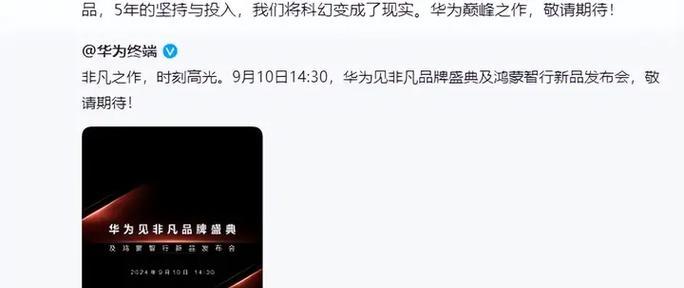 大熊数码手机支架使用指南是什么？