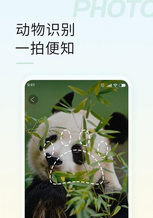 苹果手机识图打印功能位置在哪里？