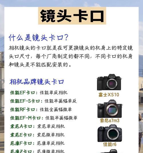 相机镜头恢复技巧是什么？