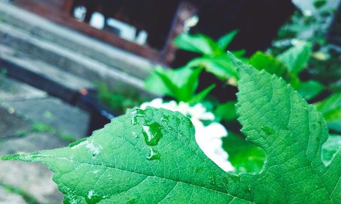 雨天使用vivo手机有哪些注意事项？