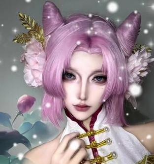 胖猫打王者荣耀什么角色？胖猫在王者荣耀中适合什么角色？