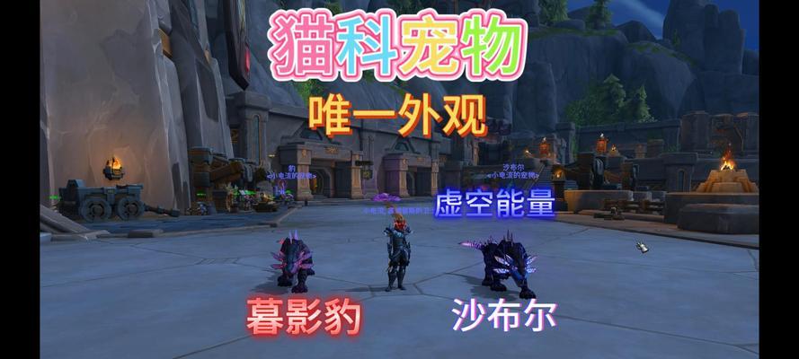 完成魔兽宠物任务的技巧是什么？