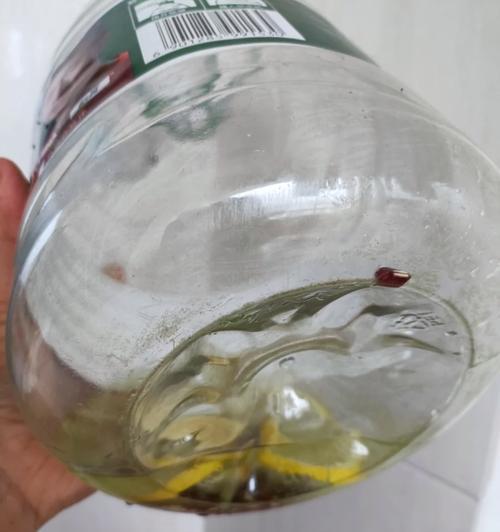 汽车散热器毛絮怎么清理？清理方法有哪些？