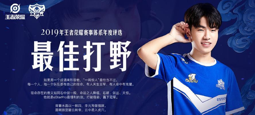 王者荣耀solo赛中哪些英雄表现最佳？如何选择？