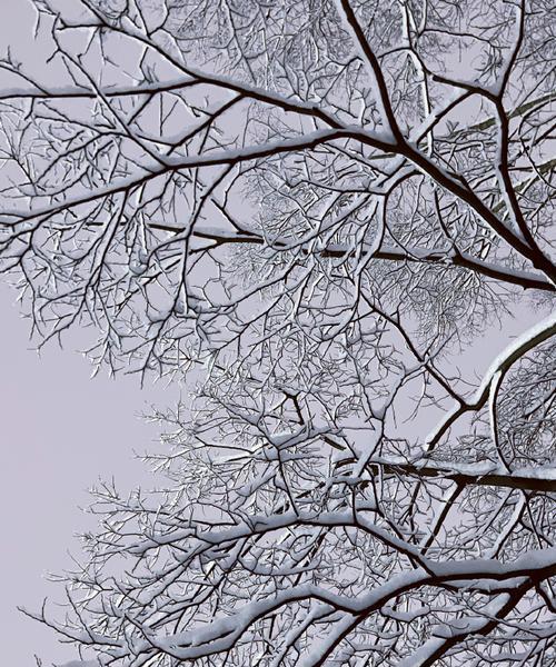 苹果手机拍摄雪景的技巧有哪些？