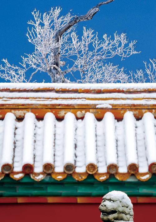 苹果手机拍摄雪景的技巧有哪些？