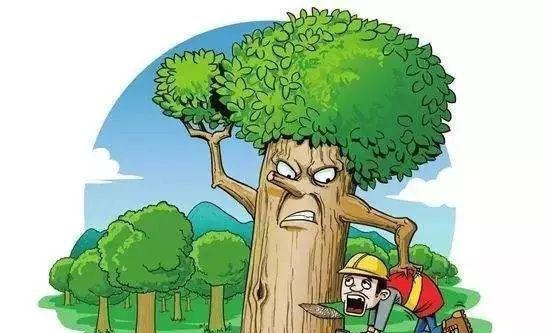 辐射4砍树技巧是什么？如何快速高效砍伐树木？