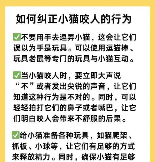 如何防止小猫咬数据线？