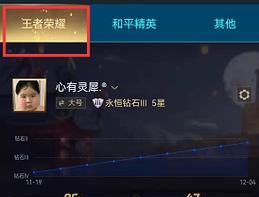 王者荣耀账号登录后能查询哪些信息？