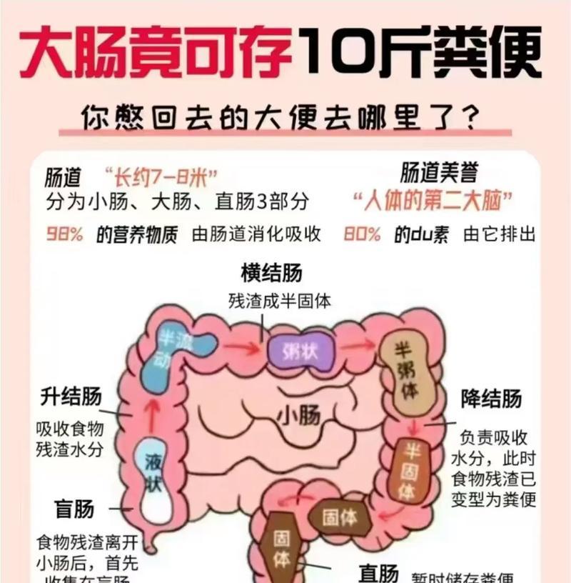 7种方法改善肠道健康（有效预防肠道疾病）