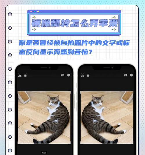苹果相机反转功能如何使用？如何缩小反转后的画面？